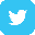 Twitter icon